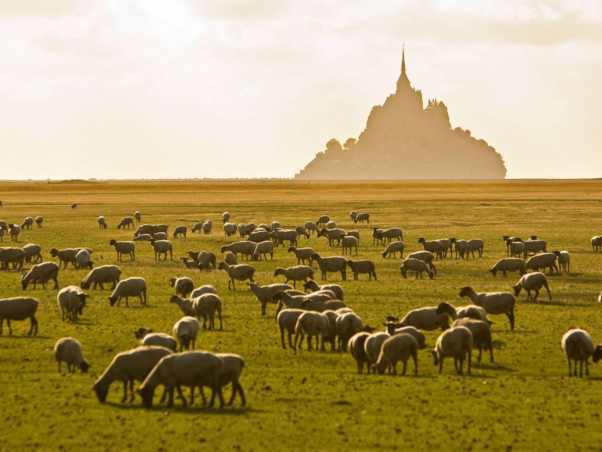 Hotelf1 Avranches Baie Du Mont Saint Michel Exteriér fotografie